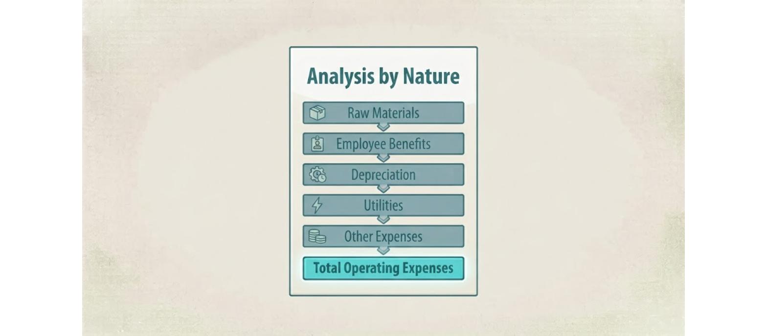 IFRS 18 Expense Analysis by Nature Classification